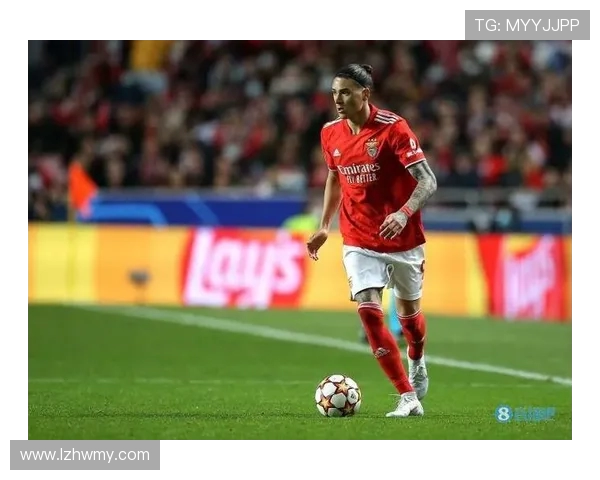 努涅斯的崛起与挑战：探讨这位新星在足球界的未来发展与影响